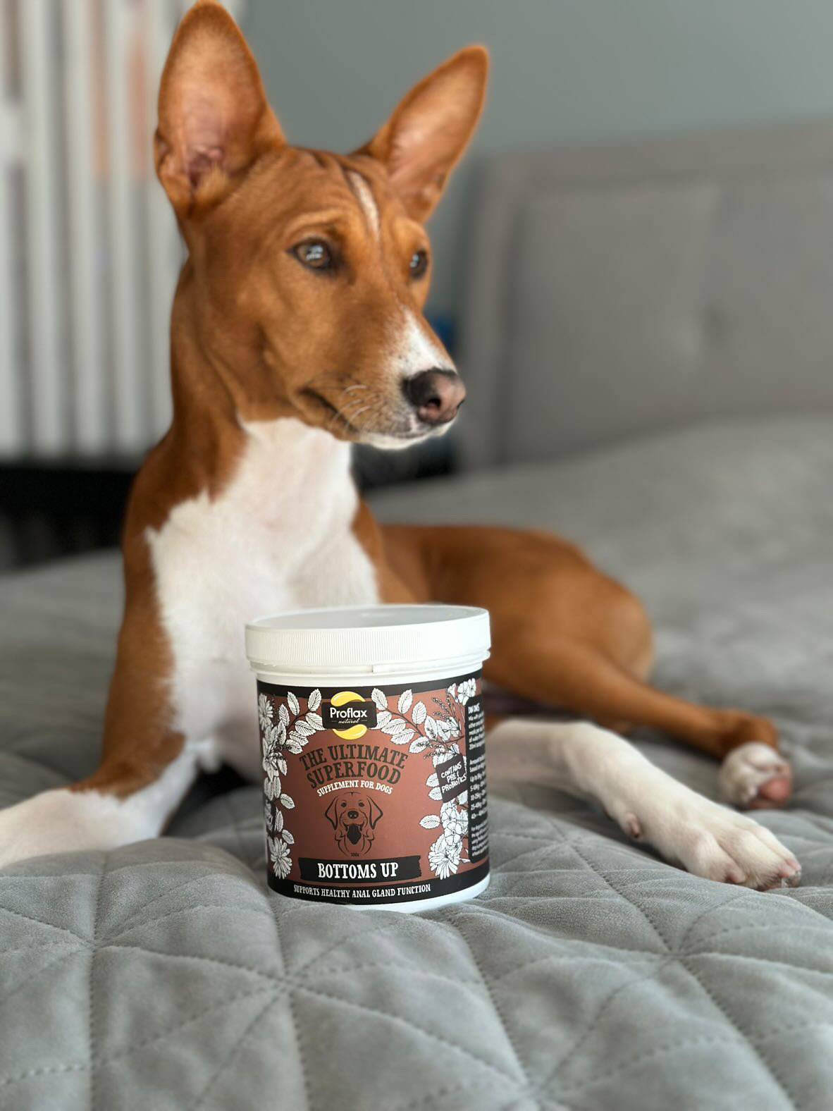 Kristiina&Amara&Enzo